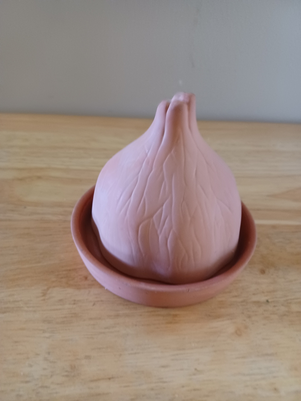 New Hearthstone Terracota  Garlic Keeper with Tray